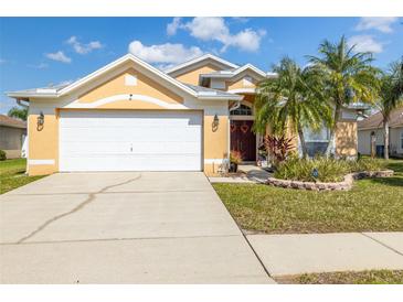 Charming single-story home featuring a two-car garage, well-manicured lawn, and tropical landscaping at 29643 Forest Glen Dr, Wesley Chapel, FL 33543