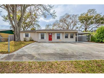 Charming single-story home featuring a red front door, light colored exterior paint, and a spacious front yard at 8528 Gold Ridge Cir, Tampa, FL 33619