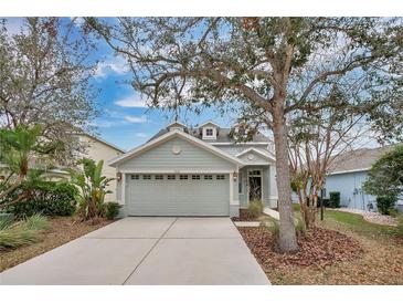 Charming single-story home with a two-car garage and well-maintained landscaping at 15121 Searobbin Dr, Lakewood Ranch, FL 34202