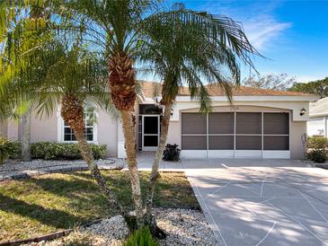 Charming single-story home with a screened garage and lush palm trees, offering a serene curb appeal at 1110 Mcdaniel St # 1110, Sun City Center, FL 33573