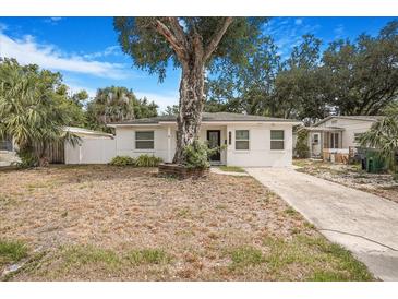 Charming single-story home featuring a concrete driveway and front yard with large tree at 3307 W Ballast Point Blvd, Tampa, FL 33611