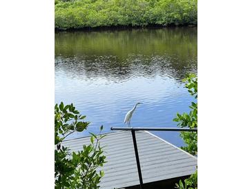 Scenic waterfront view showcasing a white heron perched on a gray dock rail with lush greenery backdrop at 5275 Miller Bayou Dr, Port Richey, FL 34668