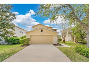 Charming home featuring a two-car garage, well-maintained lawn and beautiful landscaping at 19648 Timberbluff Dr, Land O Lakes, FL 34638