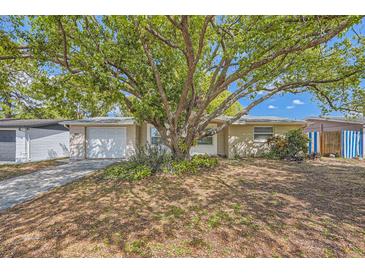 Charming single-story home featuring a lush, mature tree in the front yard at 3702 Pensdale Dr, New Port Richey, FL 34652