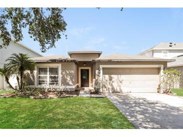 Charming single-story home featuring a well-manicured lawn, neutral paint, and an attached two-car garage at 13516 Copper Head Dr, Riverview, FL 33569