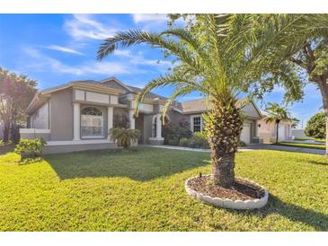 Charming single-story home featuring a manicured lawn and lush palm tree at 1647 Stable Trl, Palm Harbor, FL 34685