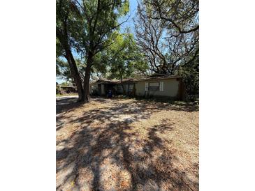 Exterior of a home showing overgrown trees and a yard covered in leaves at 8731 N 26Th St, Tampa, FL 33604