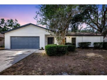 Charming single-story home featuring a well-maintained lawn, mature landscaping, and an attached two-car garage at 623 Sandy Creek Dr, Brandon, FL 33511