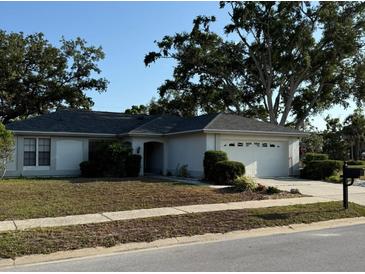 Charming single-story home featuring a well-maintained lawn and mature landscaping at 3628 Nettle Creek Ct, Holiday, FL 34691