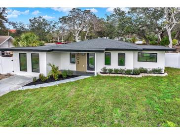 Charming single-story home featuring a well-manicured lawn, modern design, and a welcoming front entrance at 203 Driftwood W Dr, Palm Harbor, FL 34683