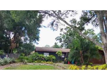 Charming single-story home with well-maintained yard and mature trees providing plenty of shade at 22402 Stillwood Dr, Land O Lakes, FL 34639
