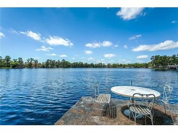 Dockside view with seating overlooking a serene lake and a clear blue sky at 18620 Wayne Rd, Odessa, FL 33556