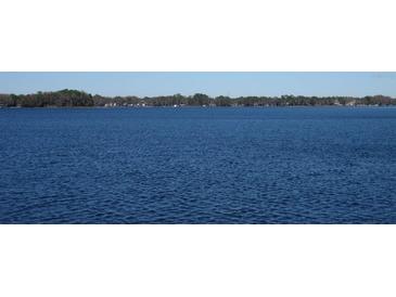 Scenic view of the calm, rippling waters of the lake at 18620 Wayne Rd, Odessa, FL 33556