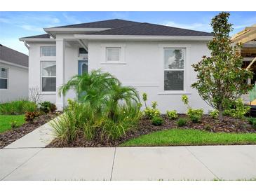Charming single-story home with white stucco exterior, manicured landscaping, and a welcoming blue front door at 28761 Sweet Persimmon Dr, Wesley Chapel, FL 33543