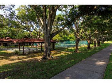 Community with covered picnic area and tennis courts shaded by mature trees at 1122 Montrose Pl # 1713, Dunedin, FL 34698