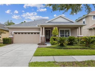Charming single-story home featuring a manicured lawn, neutral paint, and a two car garage at 20074 Heritage Point Dr, Tampa, FL 33647
