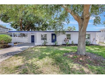 Charming single-story home featuring a manicured lawn, covered entryway, and lovely curb appeal at 4928 Stolls Ave, Tampa, FL 33615