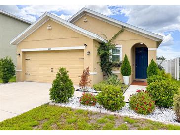 Charming single-Gathering home with a well-maintained front yard and a cozy, inviting entrance at 11124 Leland Groves Dr, Riverview, FL 33579