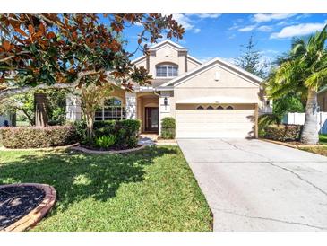 Two-story house with a yard and driveway at 19617 Sunset Bay Dr, Land O Lakes, FL 34638