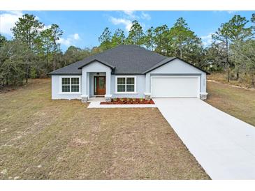 Charming single-Gathering home with a well-maintained lawn, light blue paint and attached two car garage at 14183 English Sparrow Rd, Weeki Wachee, FL 34614