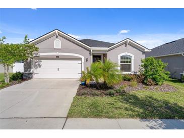 Charming one-story home featuring a two-car garage and beautifully landscaped front yard at 12905 Satin Lily Dr, Riverview, FL 33579