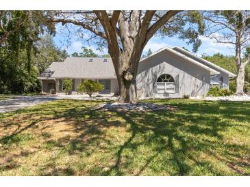 Charming one-story home with a light grey exterior, mature trees, and well-maintained landscaping in a lush setting at 4318 River Birch Dr, Spring Hill, FL 34607
