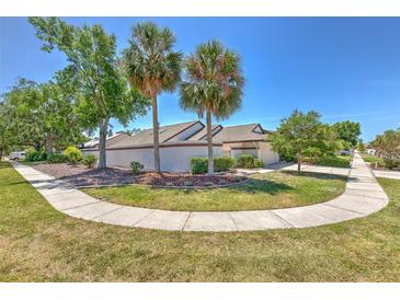 Landscaped front yard with palm trees and sidewalk leading to the home at 7102 Silvermill Dr, Tampa, FL 33635