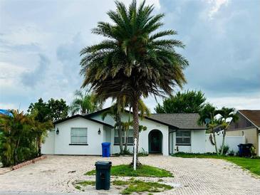 Charming home featuring a brick driveway, a white exterior, and a mature palm tree in the front yard at 6806 Monique Ave, Tampa, FL 33625