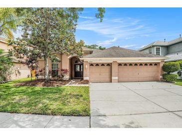 Charming one-story home with a well-manicured lawn and a two-car garage on a sunny day at 11924 Northumberland Dr, Tampa, FL 33626