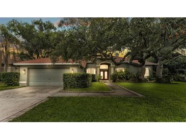 Well-maintained home featuring a two-car garage, manicured lawn, lush landscaping, and a welcoming entryway at 2332 Timbergrove Dr, Valrico, FL 33596