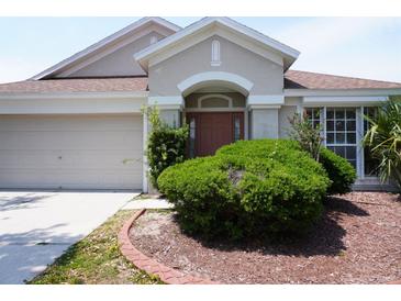 Charming home exterior showcasing a well-manicured lawn and inviting front entrance at 10308 Soaring Eagle Dr, Riverview, FL 33578