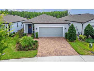 Charming single-story home featuring a brick driveway, well-manicured landscaping, and a neutral color palette at 19165 Iron Topsail Isle, Land O Lakes, FL 34638