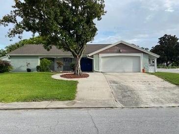 Charming single-story home featuring a well-maintained lawn, mature tree, and an attached two-car garage at 12215 Cobble Stone Dr, Hudson, FL 34667