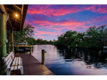 Photo one of 11526 River Country Dr Riverview FL 33569 | MLS T3447286