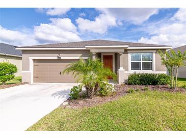 Photo one of 12946 Satin Lily Dr Riverview FL 33579 | MLS T3447514