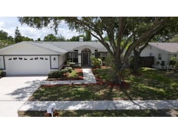 Photo one of 1932 Cloverdale Ct Lutz FL 33549 | MLS T3447873