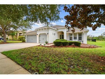 Photo one of 15651 Starling Water Dr Lithia FL 33547 | MLS T3448544