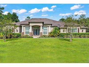Photo one of 8224 Spring Forest Ln Wesley Chapel FL 33544 | MLS T3468115