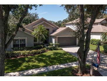 Photo one of 5407 Twin Creeks Dr Valrico FL 33596 | MLS T3471490