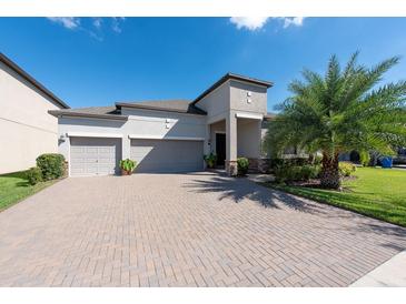 Photo one of 13448 White Sapphire Rd Riverview FL 33579 | MLS T3481581
