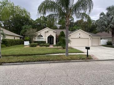 Photo one of 16132 Ivy Lake Dr Odessa FL 33556 | MLS T3485079