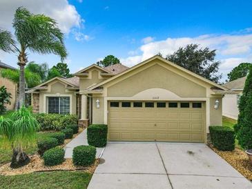 Photo one of 11117 Hoffner Edge Dr Riverview FL 33579 | MLS T3487300