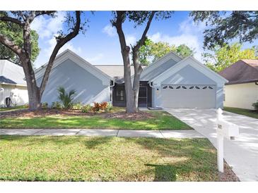 Photo one of 18213 Cypress Stand Cir Tampa FL 33647 | MLS T3488984