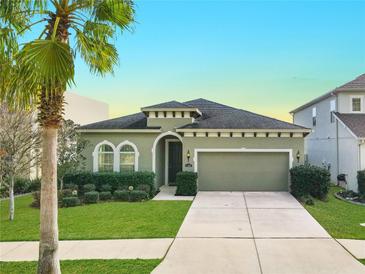 Photo one of 11257 Spring Point Cir Riverview FL 33579 | MLS T3495848