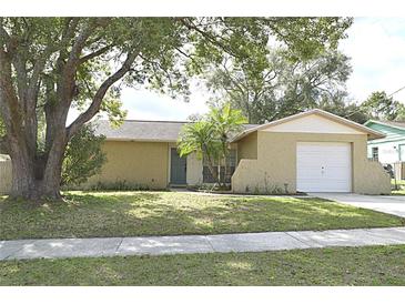 Photo one of 112 Euclid Ave Seffner FL 33584 | MLS T3497329