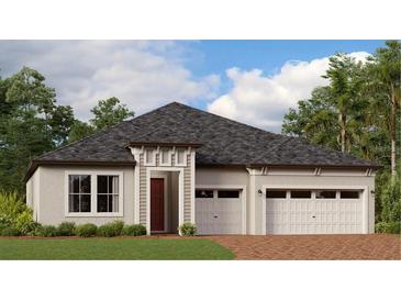 Photo one of 8344 Flying Fish Ct Land O Lakes FL 34637 | MLS T3497465