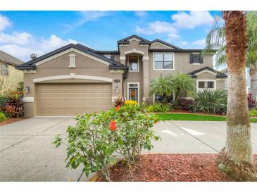 Photo one of 11709 Gilmerton Dr Riverview FL 33579 | MLS T3497748