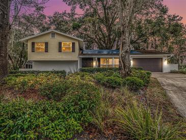 Photo one of 23700 Lake Hills Dr Lutz FL 33559 | MLS T3497749