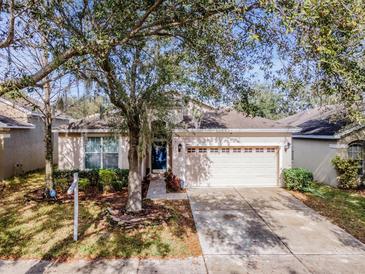 Photo one of 440 Kings Path Dr Seffner FL 33584 | MLS T3499582