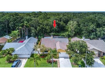 Photo one of 11920 Steppingstone Blvd Tampa FL 33635 | MLS T3499592